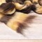 Learn to Spin Yarn - Beginner's Spinning Kit Includes Drop Spindle, Space Dyed Wool Roving and Printed Instructions with Video